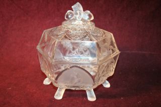 Rare Eapg Covered Butter Dish - Classic Pattern - Gillinder & Sons Ca.  1875