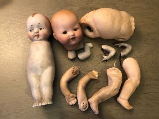 Antique Doll Parts Germany Body Head Arms Legs