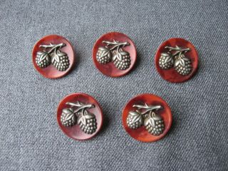 5 Antique Art Deco Flapper Silvered Berries Dyed Tagua Nut Metal Shank Buttons