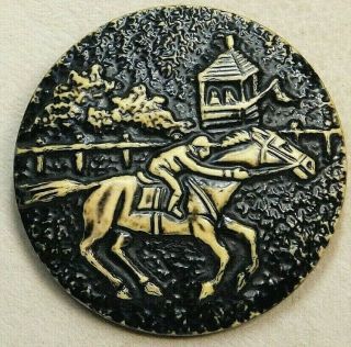 Antique Button X - Large Buffed Celluloid Race Horse W Jockey Ac