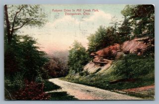 Youngstown Oh Autumn Drive In Mill Creek Park Antique Postcard