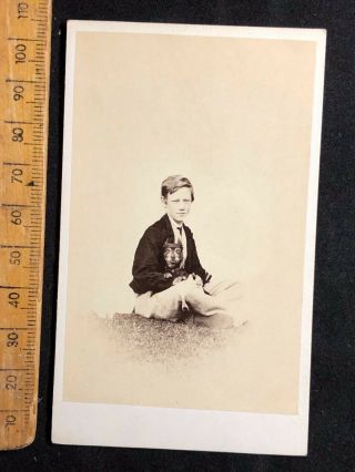 E Antique 1800s Victorian Young Boy Terrier Dog Hayman Bw Cdv Photo Cabinet Card