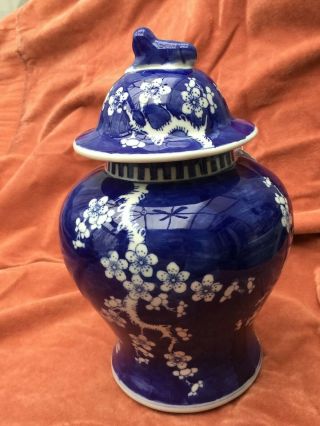 A Large Chinese Blue - White Prunus Jar In Undamaged,
