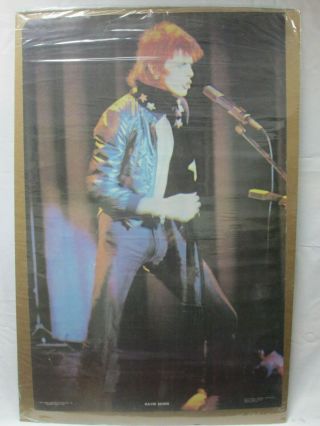 David Lee Roth Rock Vintage Poster Garage 1973 Cng434