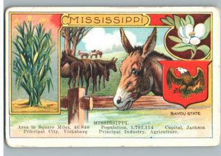 Rare Mississippi Mcphail Pianos Victorian Trade Card Baldwins Music Norwich Ny