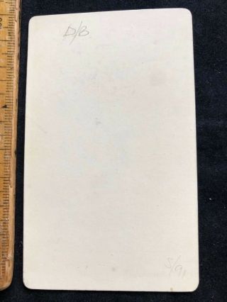 D Antique CDV 1870s WHITE LONG HAIR TERRIER DOG VICTORIAN B&W PHOTO CABINET CARD 2