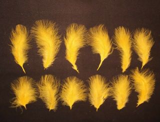 Salmon Fly Tying Feathers - 12 Yellow Sunburst Turkey Marabou - Vintage Antique