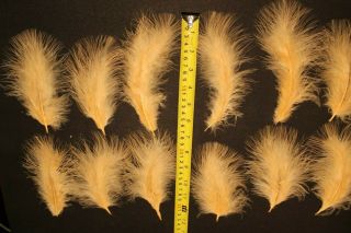 Salmon Fly Tying Feathers - 12 Coral Peach Turkey Marabou - Vintage Antique 3