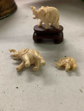 3xSmall Vintage Old Antique Ivory Colored Hand Carved Japanese Chinese? Elephant 2