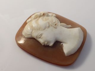 Fine Antique High Relief Carved Unmounted Loose Cameo Shell Brooch 2