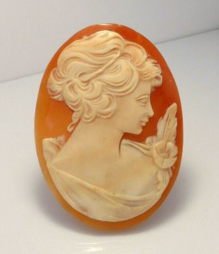 Fine Antique Finely Carved Unmounted Loose Cameo Shell Brooch Signed