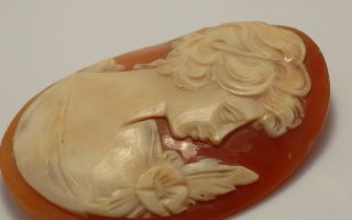 Fine Antique Finely Carved Unmounted Loose Cameo Shell Brooch Signed 2