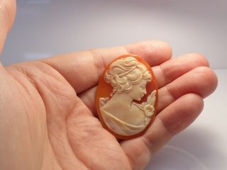 Fine Antique Finely Carved Unmounted Loose Cameo Shell Brooch Signed 3