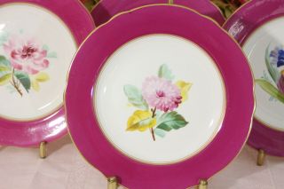 , Antique English Porcelain Dessert Plates (4) Hand Painted,  Magenta 2