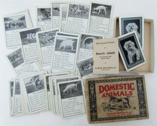 1903 Antique Card Game Domestic Animals W/ Box