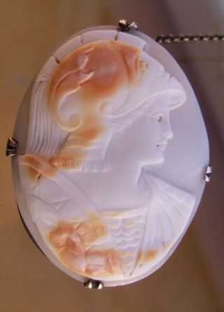 Lovely Large Antique Victorian Real Carved Shell Cameo Of A Warrior