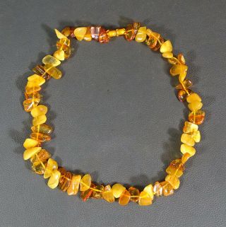 Antique Natural Baltic Egg - Yolk Butterscotch Honey Amber Beads Necklace Choker