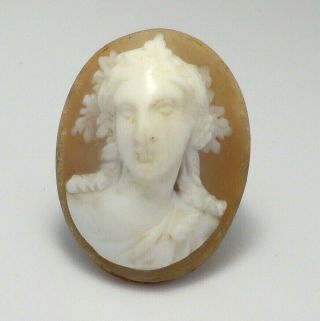 Fine Lovely Antique High Relief Carved Unmounted Loose Cameo Shell Brooch Signed