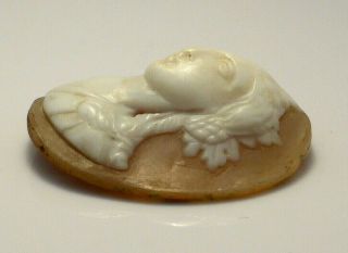 Fine Lovely Antique High Relief Carved Unmounted Loose Cameo Shell Brooch Signed 2