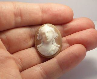 Fine Lovely Antique High Relief Carved Unmounted Loose Cameo Shell Brooch Signed 3