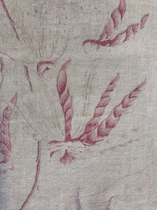 French Vintage Shabby Chic Sample Toile Old Stock 80/40cms