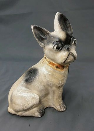 Antique French Bulldog Or Terrier Chalkware Carnival Fair Circus Prize Dog 9 " H