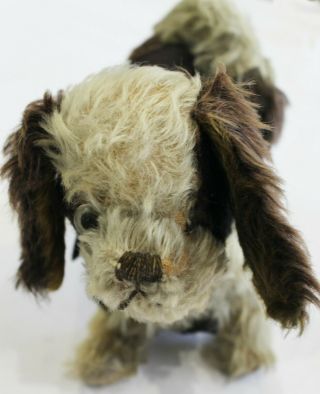 Antique Dog Teddy Bear Mohair - Well Loved