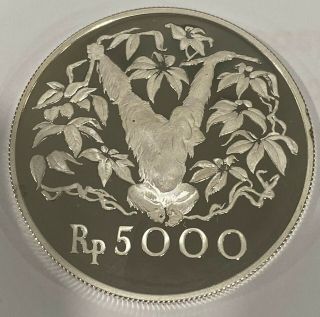 1974 Orangutan.  925 Silver Coin 5000 Rupiah Indonesia Silver Proof Coin - Rare