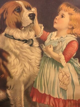 Vtg Antique 1904 15x18 Litho Print Little Girl W/ St Bernard Dog