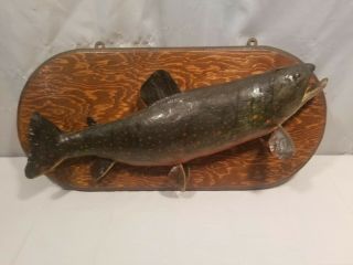 Antique Early Vintage Brook Trout Fish Mount Taxidermy
