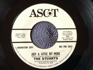 The Stuarts - Just A Little Bit More Rare Us 1966 Demo Promo / Garage Punk Ex,