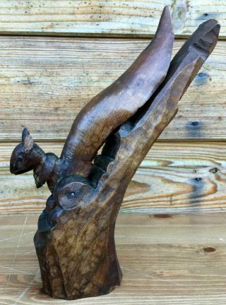 Antique Black Forest German Wooden Carved Treen Squirrel Nutcrackers c1910 3
