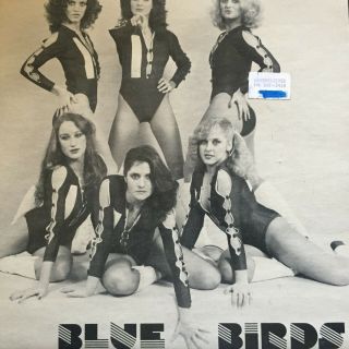 The Bluebirds.  " Only You Can Do It " - - Rare Australian 7 " 45 Carlton Blues Vfl