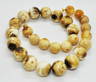 82g Antique Formed White Boney Baltic Amber Butterscotch Pressed Bead Necklace