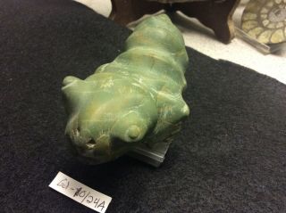 Gd - 10/24a Pre - Columbian Southern Arawak Large Carved Turtle Ca300bc - 300ad