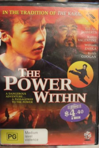 The Power Within Rare Deleted Oop Dvd Kung Fu Martial Arts Movie Ted Jan Roberts