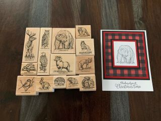 Stampin Up Wildlife Reserve Stamp Set Bear/deer/fox/bunny Rare Euc Lot,  Card