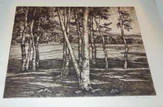 Rare Luigi Lucioni Etching Edge Of The Birches Signed Listed Artist
