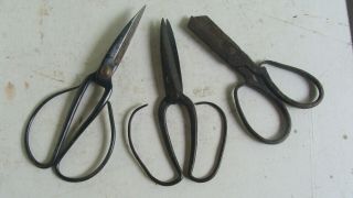 Two Early 19th C Hand Wrought Iron Scissors,