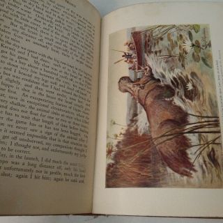 African Trails (1910) Theodore Roosevelt antique book Illus 3