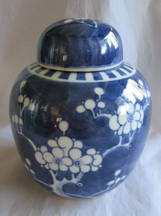 Vintage Cobalt Blue & White Prunus Blossom Ginger Jar 6 1/4”