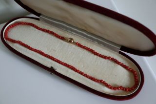 Antique Late 19th C Victorian Natural Red Coral Bead Necklace