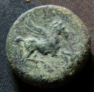 Ancient Greek Coin 317 - 289 Bc Apollo Antique Bronze Rare Pegasus Winged Horse