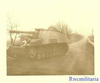 Rare German Sdkfz.  165 