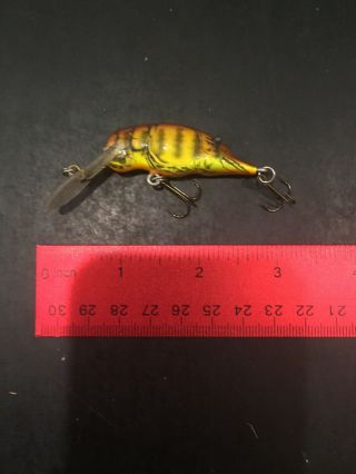 Bagley’s Diving Bitty Craw Dc9 Dark Crayfish On Chart