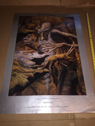 Rare Vintage Rodney Matthews Treebeard Poster 34”x24” Lord Of The Rings Tolkien