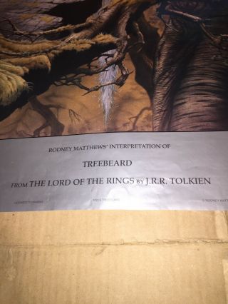 Rare Vintage Rodney Matthews Treebeard Poster 34”X24” Lord Of The Rings Tolkien 3