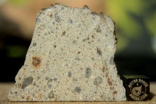 Nwa 8362 Hed Howardite Meteorite Huge 14.  5 Gram Part Slice Of Rare Achondrite