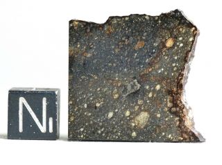 Meteorite Nwa 753 - Rare Rumuruti R3.  9 Chondrite - Best Polished Slice 5.  70g