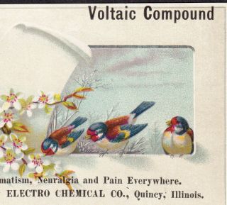 Electro - Chemical Co Quincy Il Voltaic Compound Quack Cure Victorian Trade Card